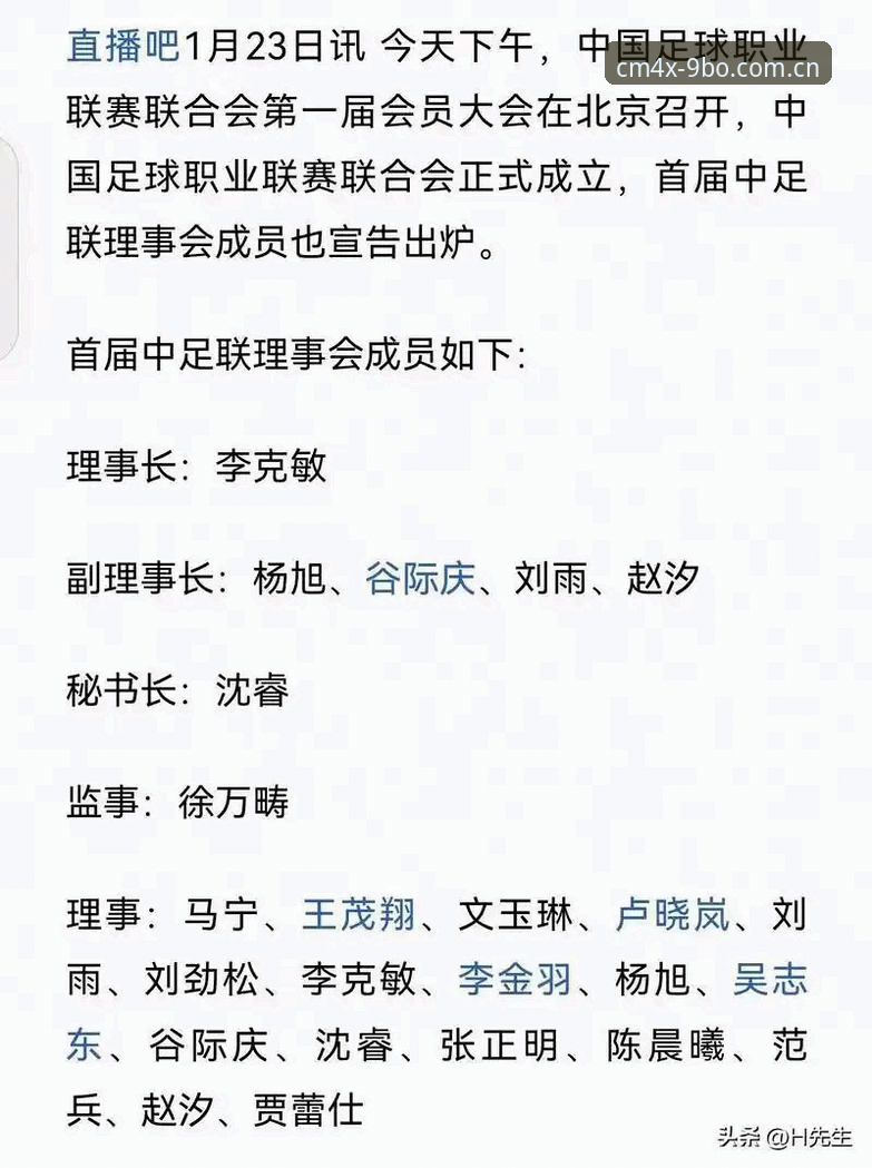足协第三批禁足名单深度解读：从17人终身禁足看中国足球治理完整指南